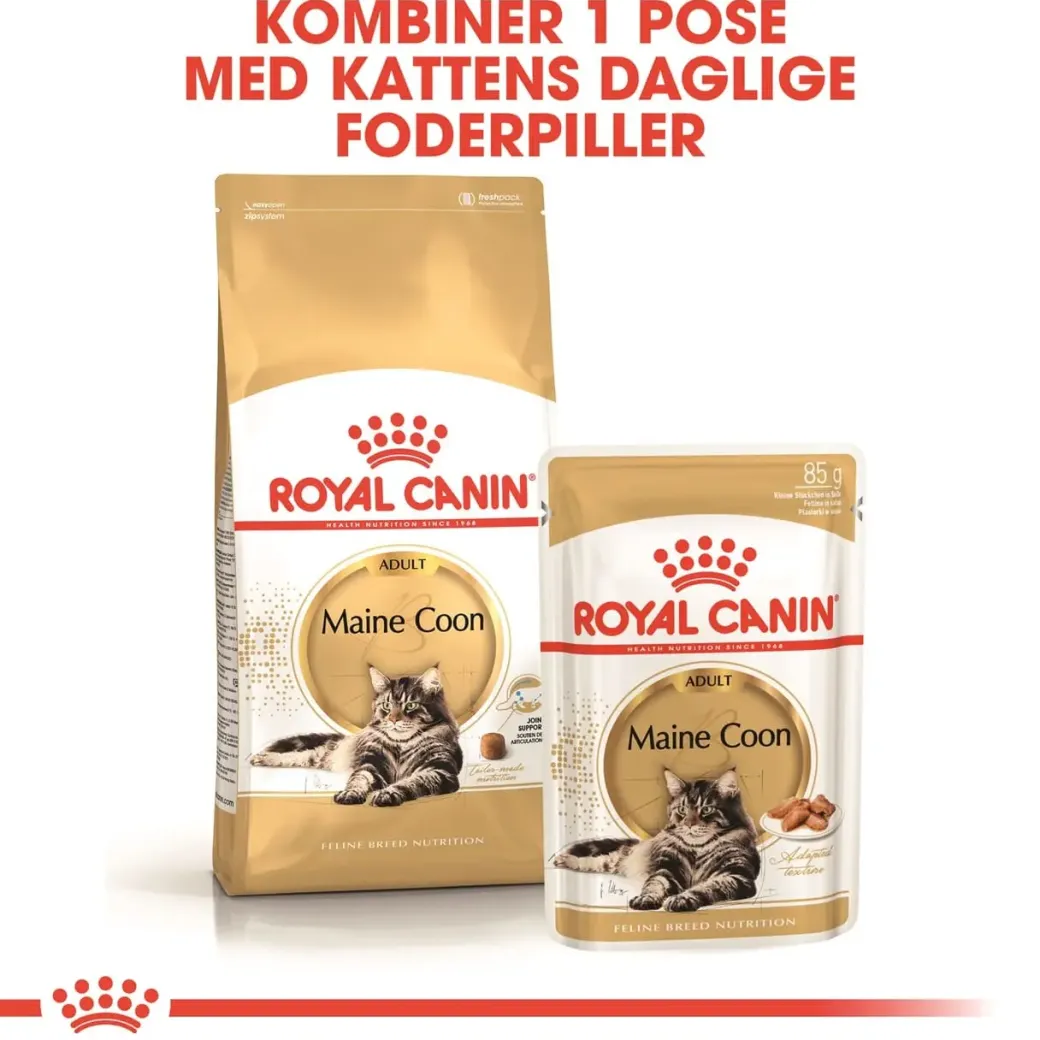 Royal Canin Maine Coon 10 kg