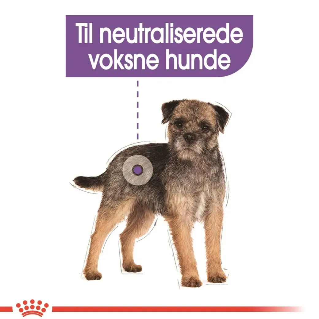 Royal Canin Mini Sterilised Adult 8 kg - hundefoder til steriliserede små hunde