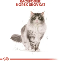 Royal Canin Norsk Skovkat 10 kg (Norwegian Forest Cat)