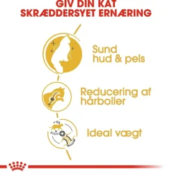 Royal Canin Norsk Skovkat 10 kg (Norwegian Forest Cat)