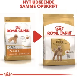 Royal Canin Poodle Adult 1,5 kg - tørfoder til voksne pudler