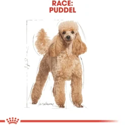 Royal Canin Poodle Adult 1,5 kg - tørfoder til voksne pudler