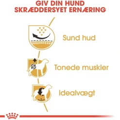 Royal Canin Pug Adult 1,5 kg - tørfoder til mops