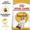 Royal Canin Ragdoll 10 kg