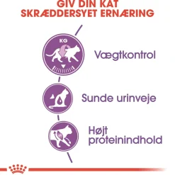 Royal Canin Regular Sterilised 400 gram