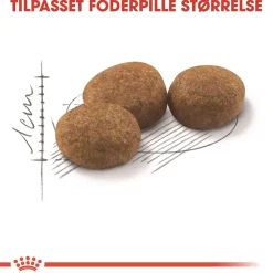Royal Canin Regular Sterilised 4 kg
