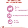 Royal Canin Second Age Kitten 400 g