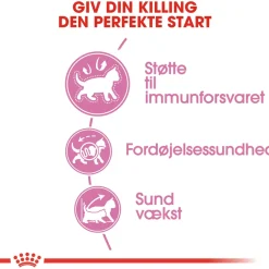 Royal Canin Second Age Kitten 400 g