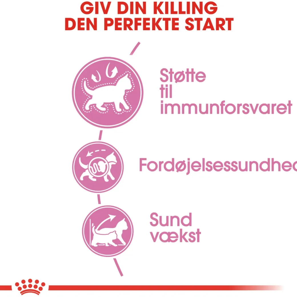Royal Canin Second Age Kitten 4 kg