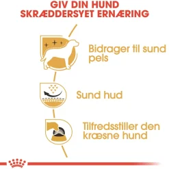 Royal Canin West Highland White Terrier Adult 3 kg - tørfoder til Westie