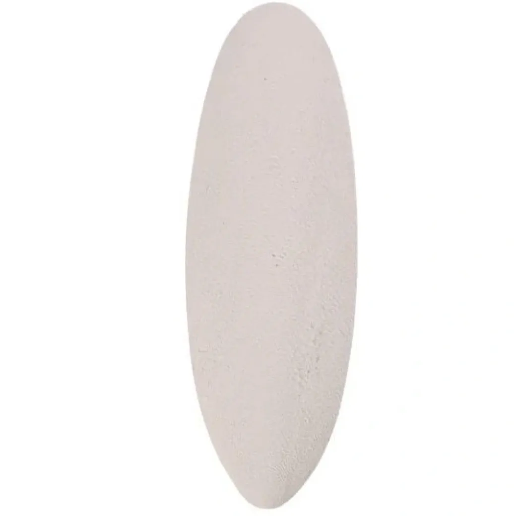 Sepia skal 23 cm
