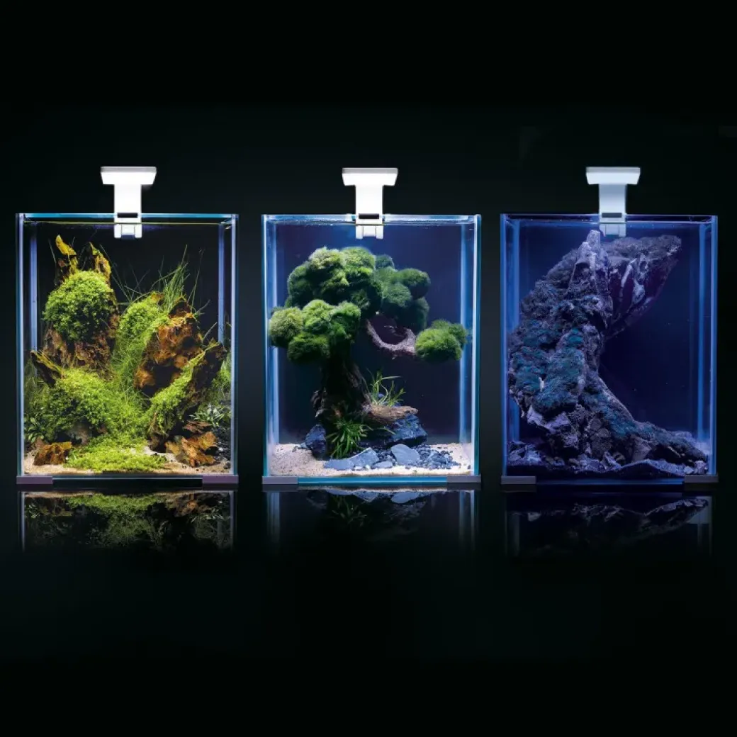 Shrimpset Day and Night 10 L 20x20x25 cm Hvid