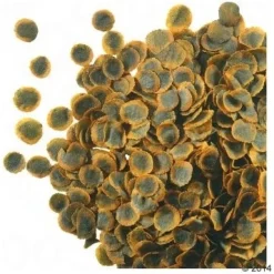 Tetra Pro Algae Crips 10 L
