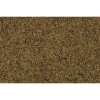 Tetra Pro Algae 500 ml