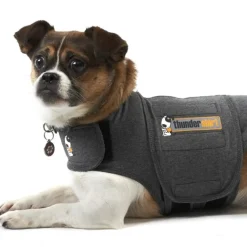 Thundershirt XS