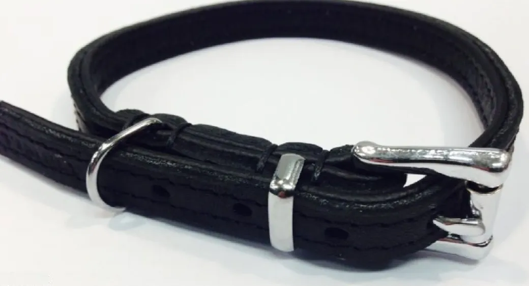 Timely halsbånd olieret læder sort 12 mm 20 cm - blød kontrol til små hunde