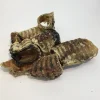 Treattime Okseluftrør 200 g - Naturlige hundesnacks