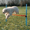 Trixie Agility Hurdle - springtræning til hunde