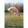Trixie Agility Ring - sjov træning til hunde