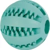 Trixie Denta Fun baseball med mintsmag grøn Ø 6,5 cm - hundebold