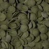 Tropical Green Algae Wafers 1000 ml 450 g