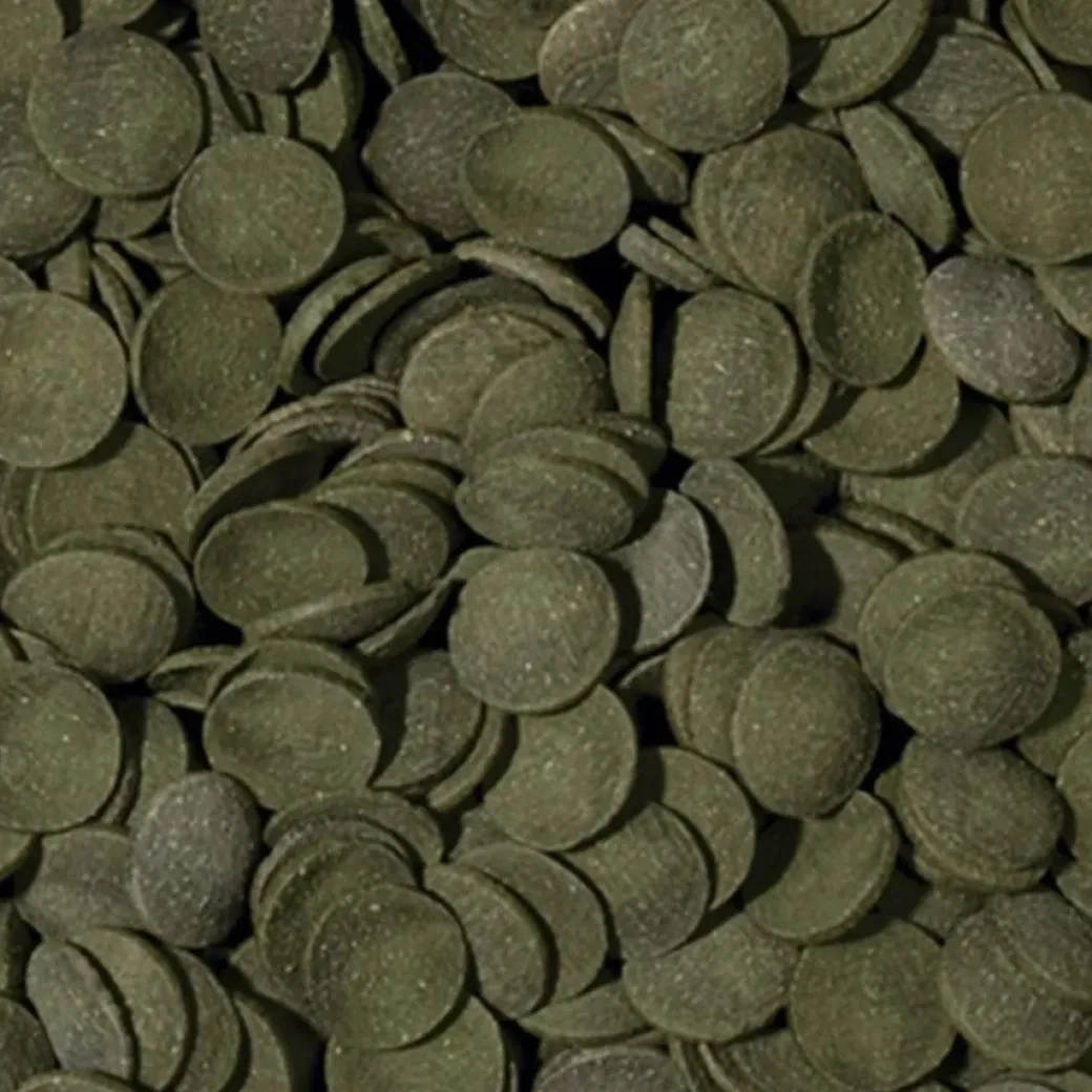Tropical Green Algae Wafers 1000 ml 450 g