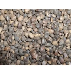 Tyroler nødder 25 kg