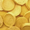 VeggiePet Sødkartoffel Biscuits 100 g Running Wild