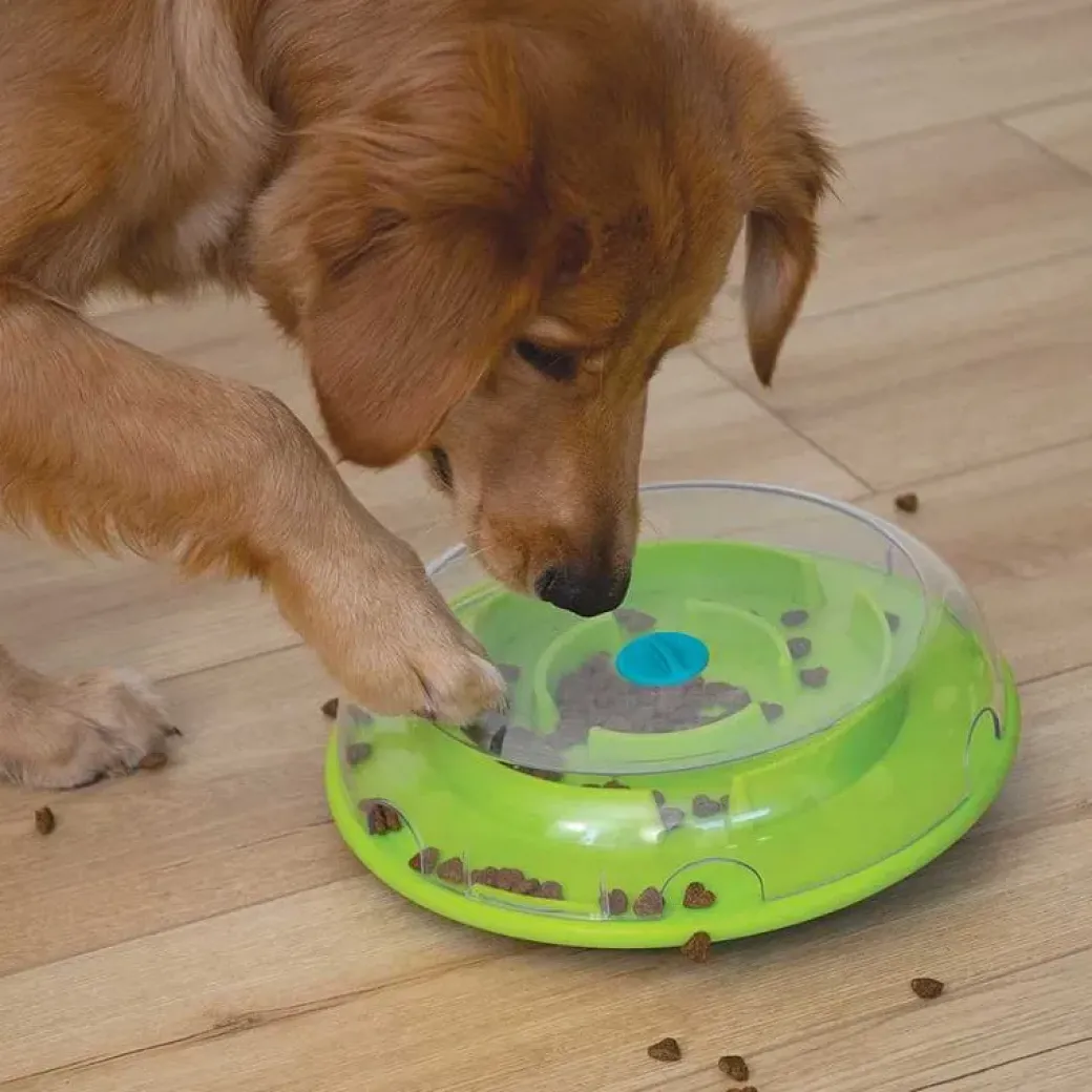 Wobble Bowl Grøn Niveau 1 - interaktiv foderskål til hunde